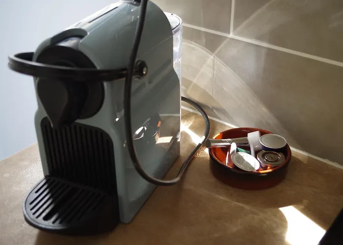 Deux Pieces Avec Terrasse, Vue Jardin